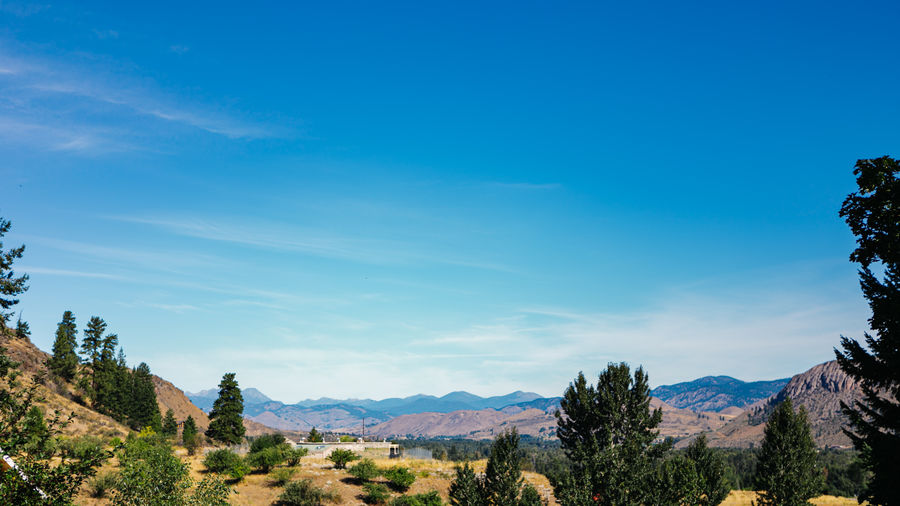 Scenic view of trees and mountains against blue sky