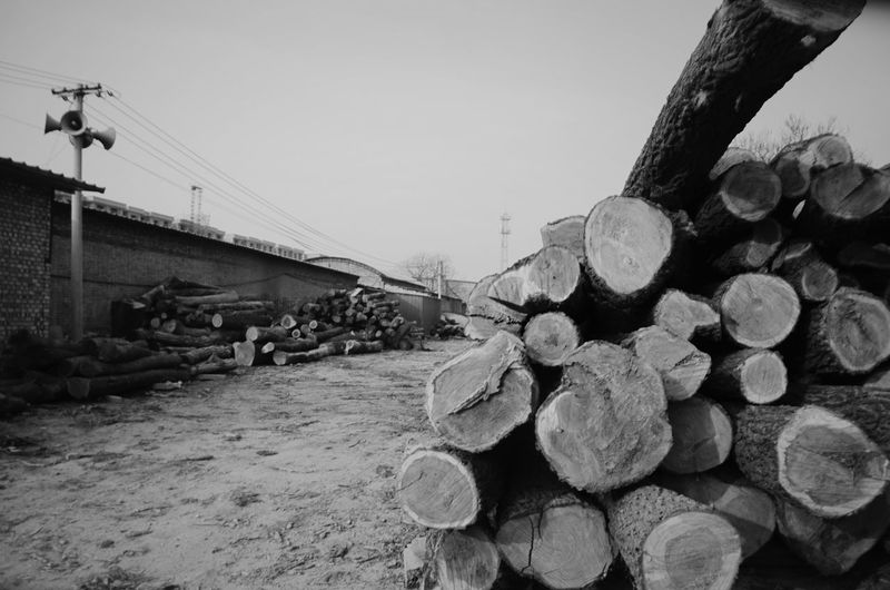 Stack of logs against sky