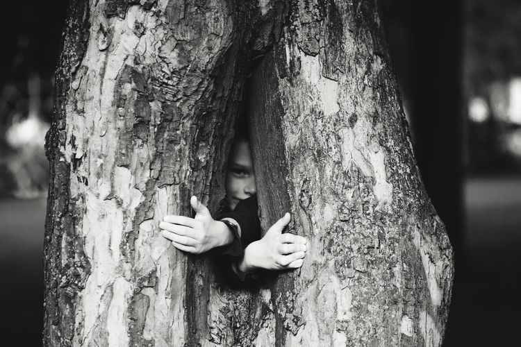 Portrait of boy looking through tree trunk