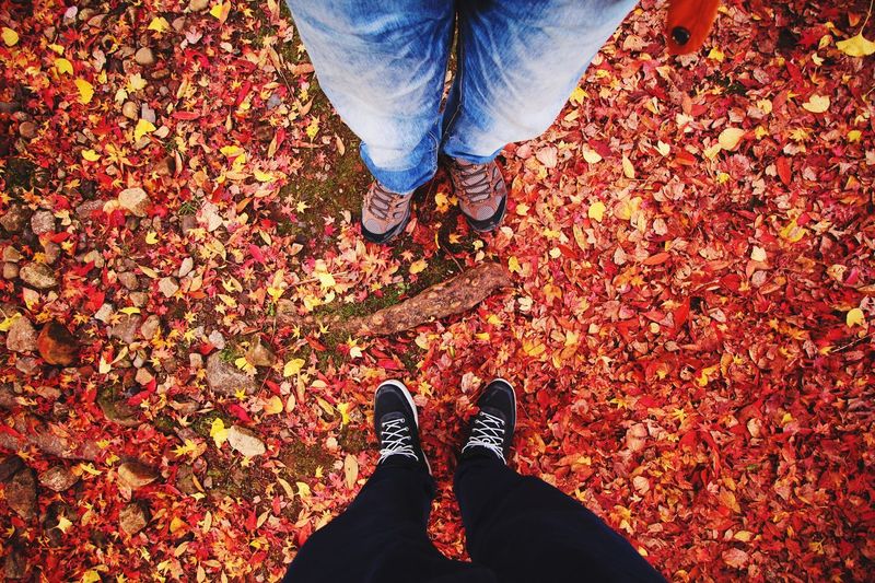 Low section of man and woman standing on fallen autumn leaves