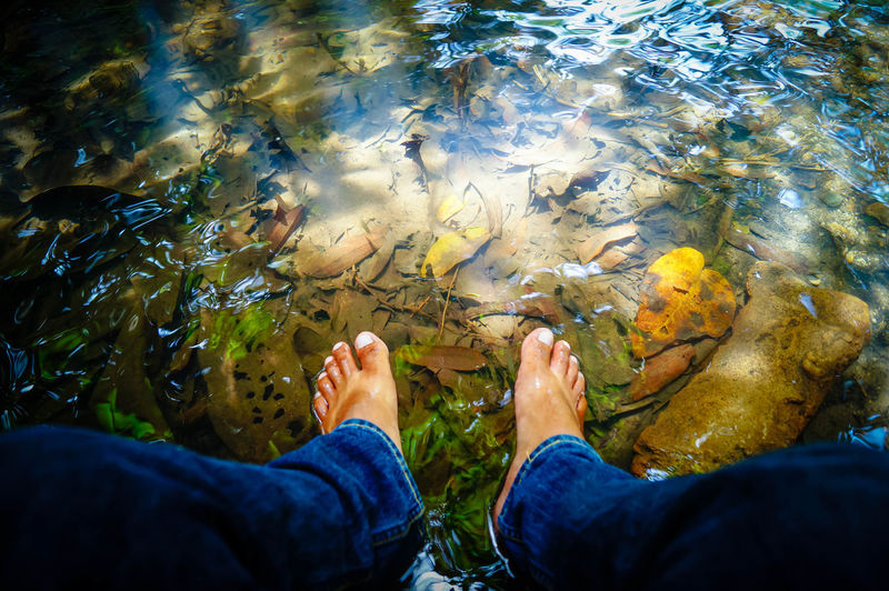 Low section of people with fish in sea