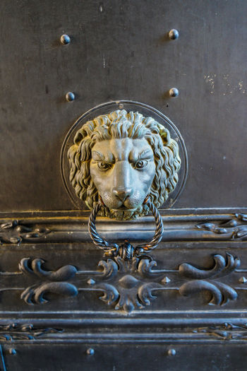 Close-up of lion door knocker