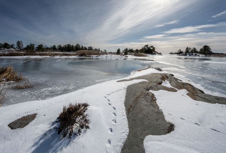 Nature reserve in winter with snow
