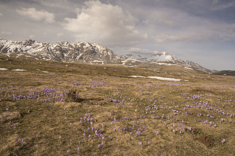 Scenic view of landscape and mountains against sky
