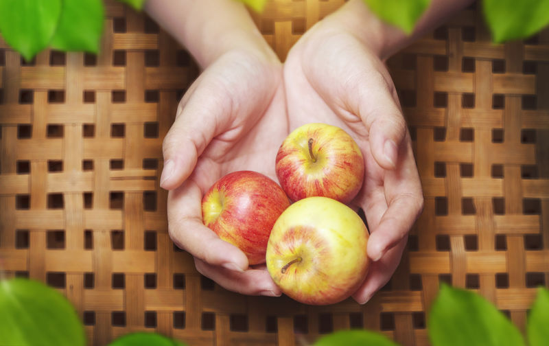 Cropped hand of woman holding apples