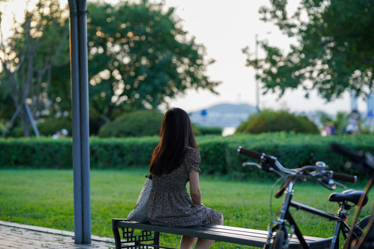 Rear view of woman sitting on bench in park