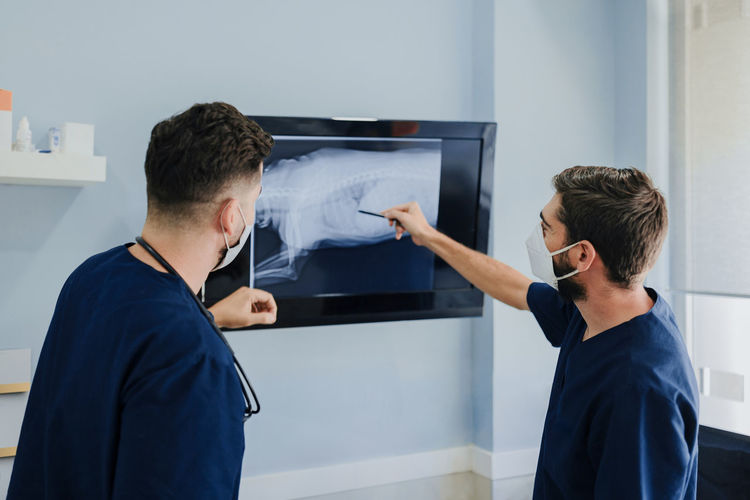 Side view of unrecognizable male vets in masks interacting while looking at monitor with x ray illustration in hospital