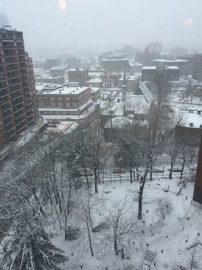 High angle view of snow covered buildings in city