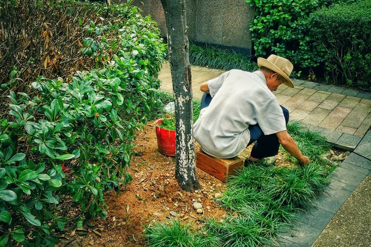 Rear view of woman working in yard