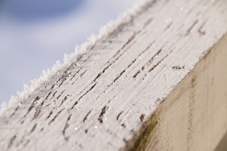 Close-up of wooden plank