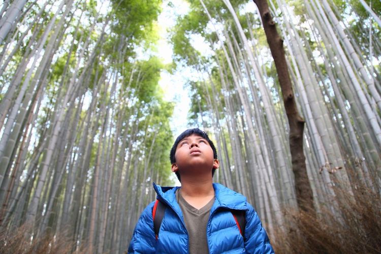 Low angle view of boy looking up in forest