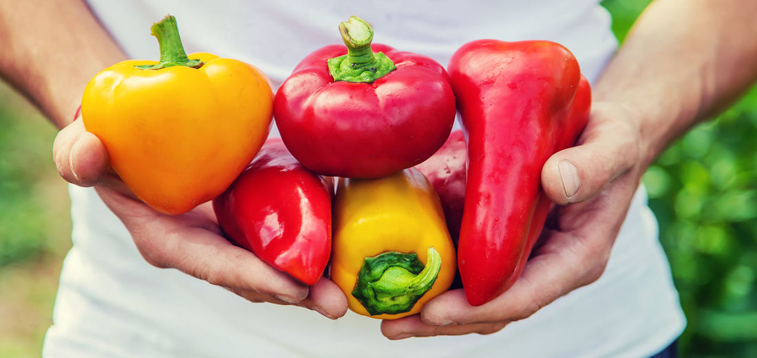 Cropped hand holding bell peppers