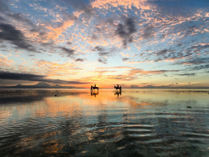 Silhouette people horseback riding at beach against sky during sunset