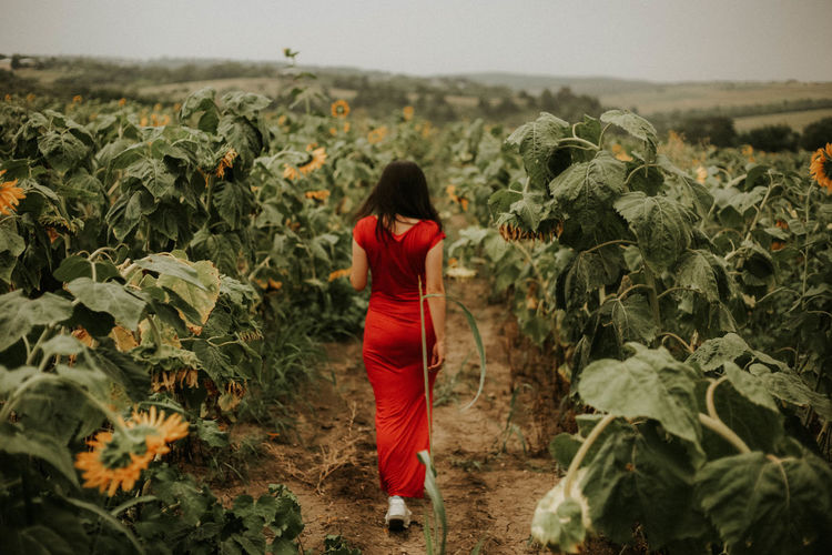 Woman standing amidst sunflower plants against sky