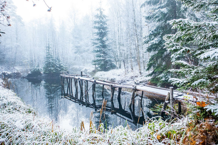 View of footbridge over pond in forest during winter
