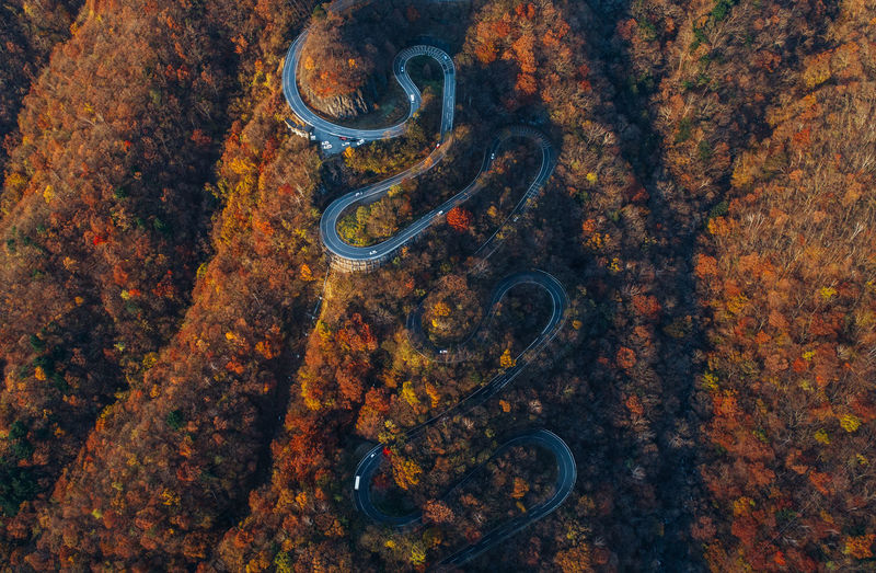 High angle view of rusty metal in forest during autumn