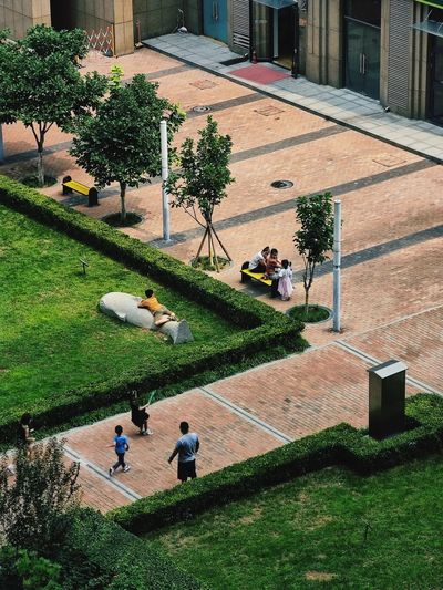 High angle view of children run and play on grassy field