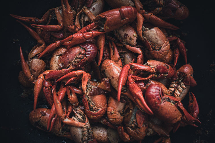 Close-up of crabs and lobsters