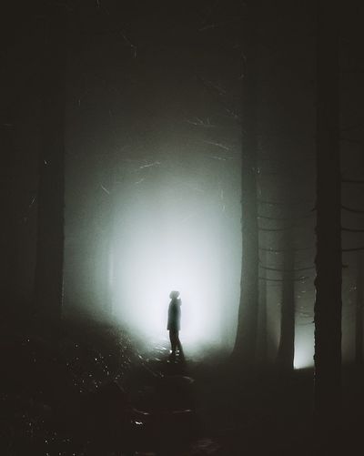 Rear view of silhouette person walking in forest