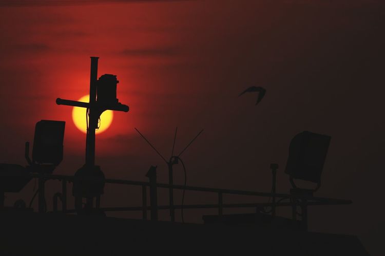 Low angle view of silhouette bird against sky during sunset