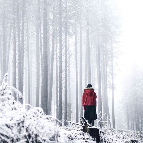 Woman standing on snow covered forest