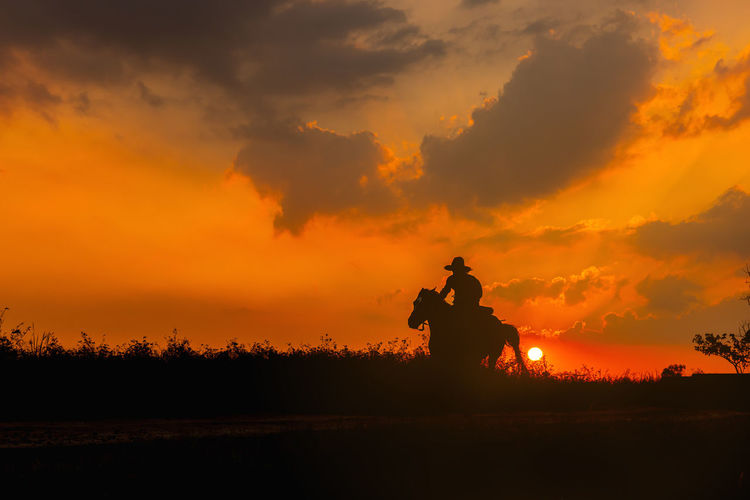 A cowboy on a horse springing up and a riding horse silhouetted against the sunset