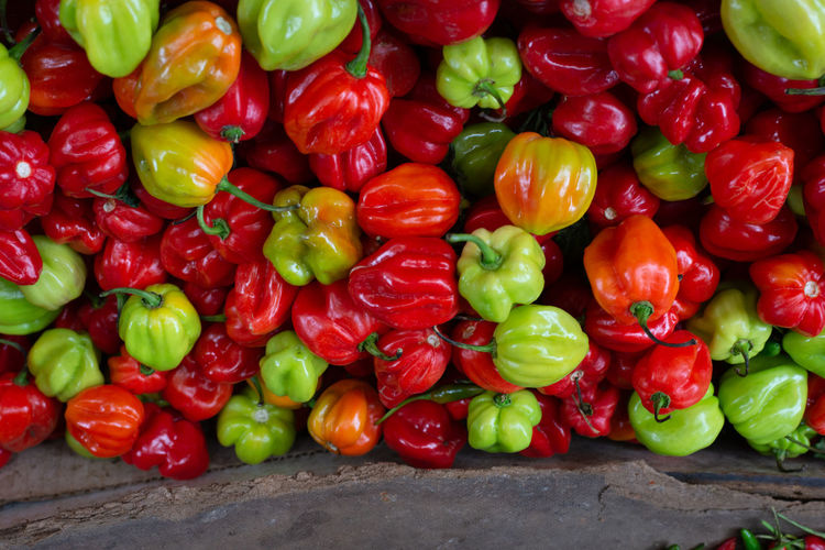 Close-up of bell peppers for sale in market