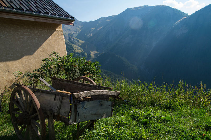 Wheelbarrow in backyard against mountain range