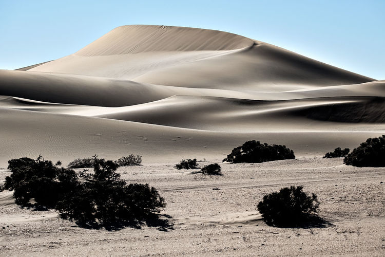 Scenic view of namib desert with golden dunes 
