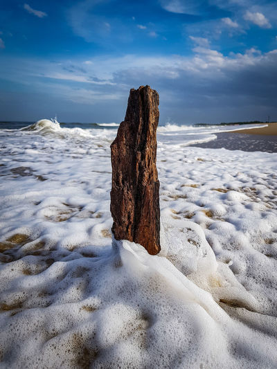 Driftwood on beach during winter against sky