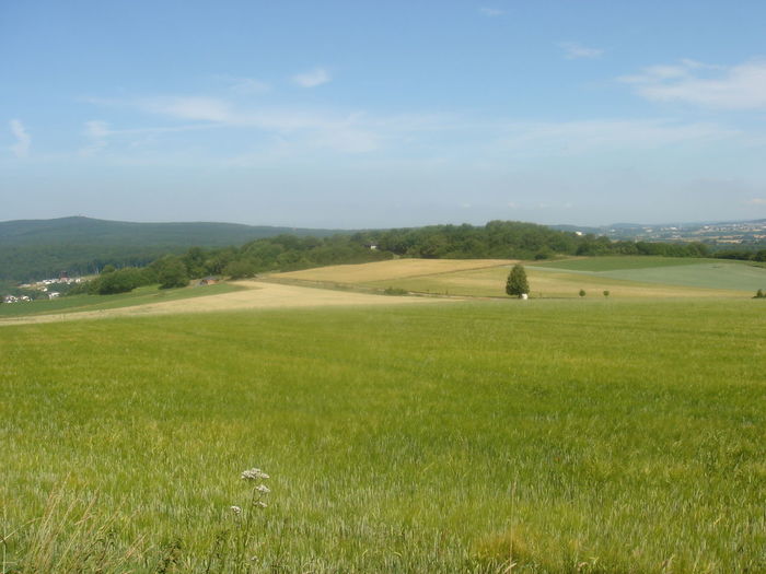 Scenic view of open landscape against sky