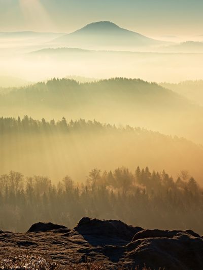 Fall daybreak. misty awakening in a beautiful hills. peaks of hills are sticking out from fog