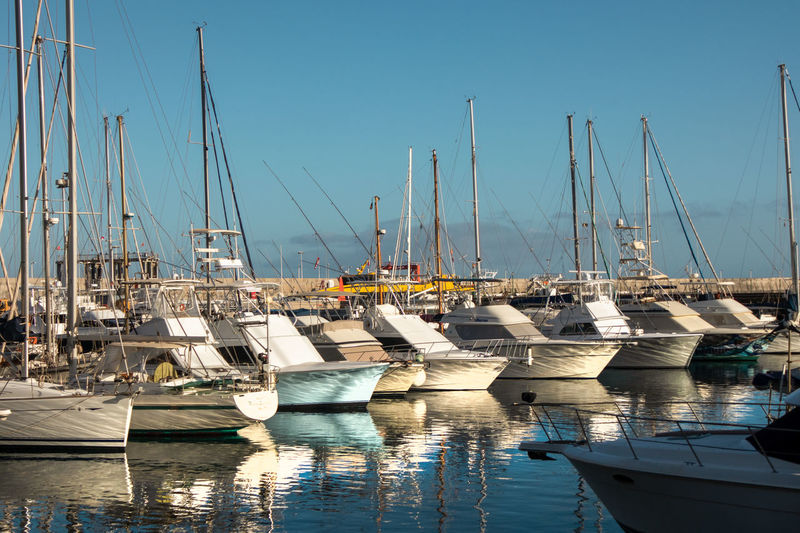 Sailboats moored in harbor
