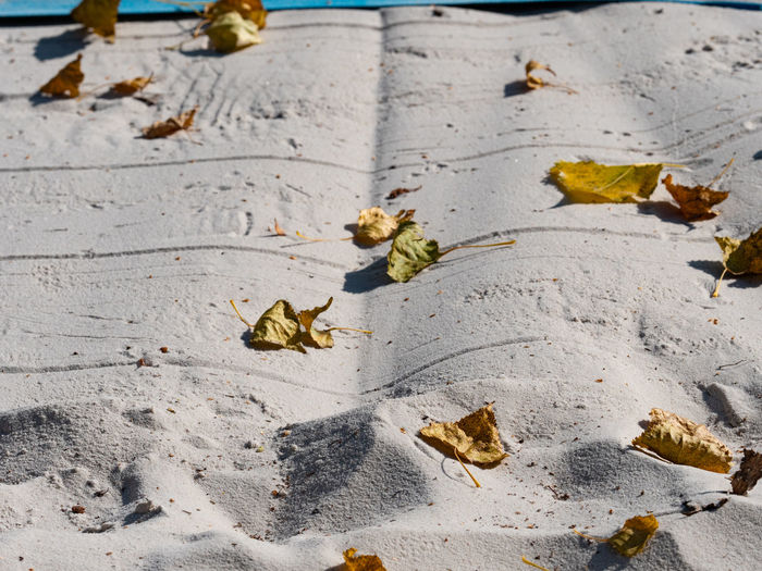 Fallen autumn leaves on the white sand of beach volleyball court in a park in the autumn