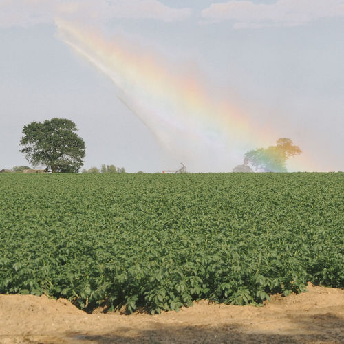 Scenic view of field against cloudy sky