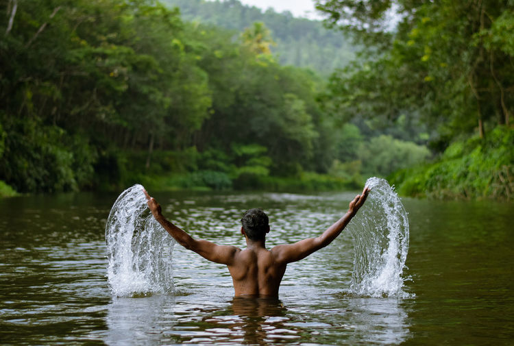 Rear view of man surfing in lake against trees