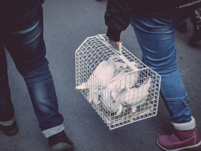 Low section of woman carrying doves in cage on street