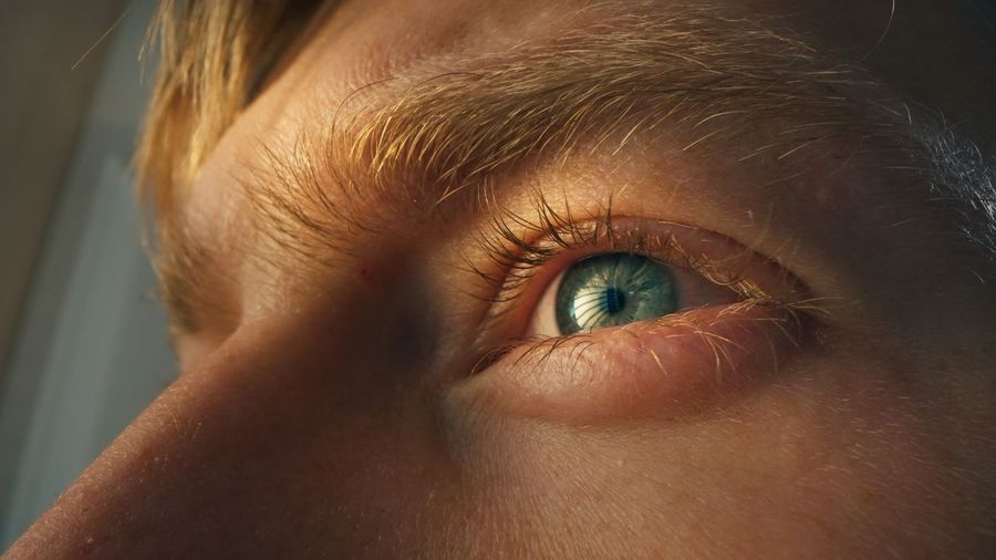 Detail shot of human blue eye. young man working on computer. concentrated look.
