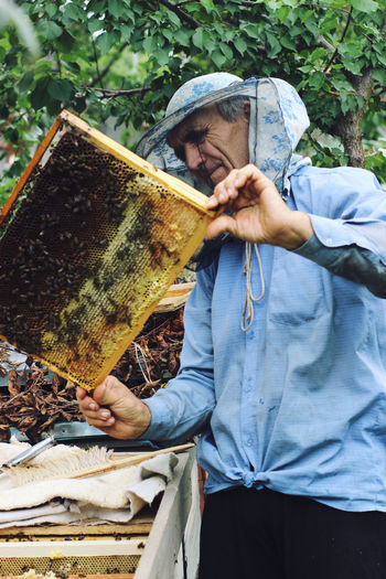 Senior man holding beehive against trees
