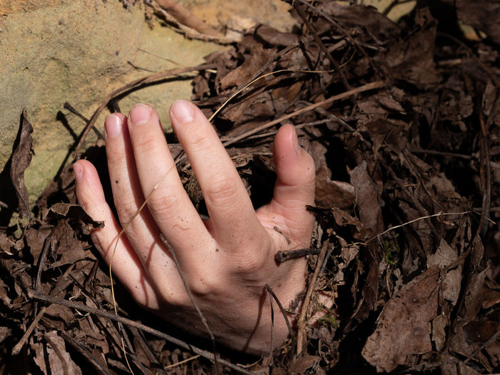 Woman hand with fingers climb up on rock from rotten leaves. fingers pointing up