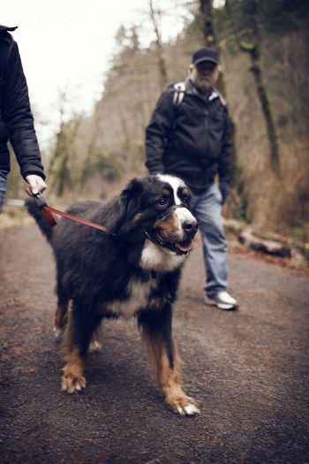 Two men with dog on walk in forest
