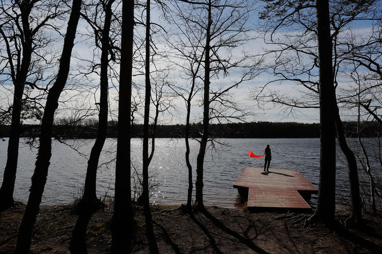 Reflection of bare trees in lake against sky