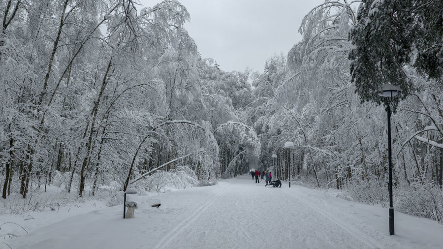 People walking on snow covered road