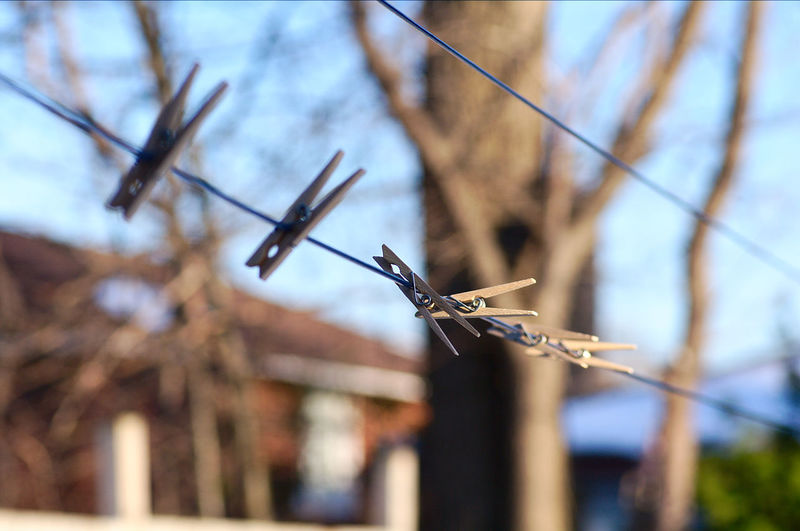 Close-up of clothespins on clothesline against bare tree