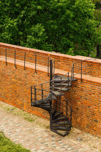 Railing against trees