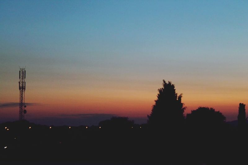 Silhouette of trees at sunset