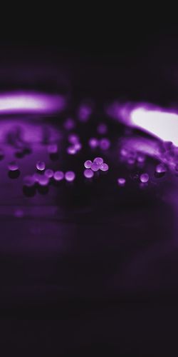Close-up of water drops on pink lights