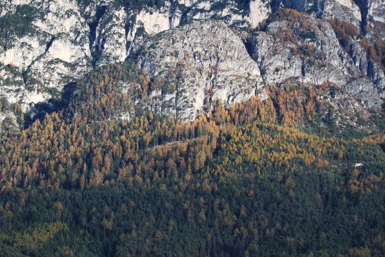 Majestic mountain in autumn