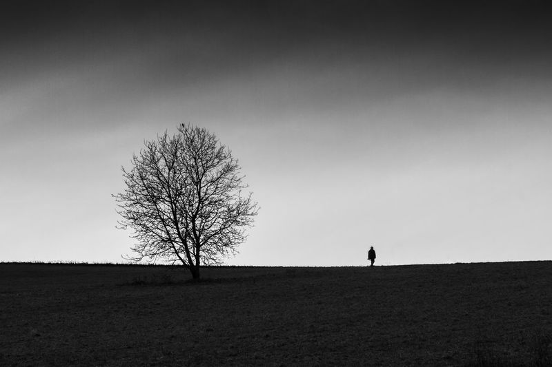 Silhouette bare tree and one person on field against sky