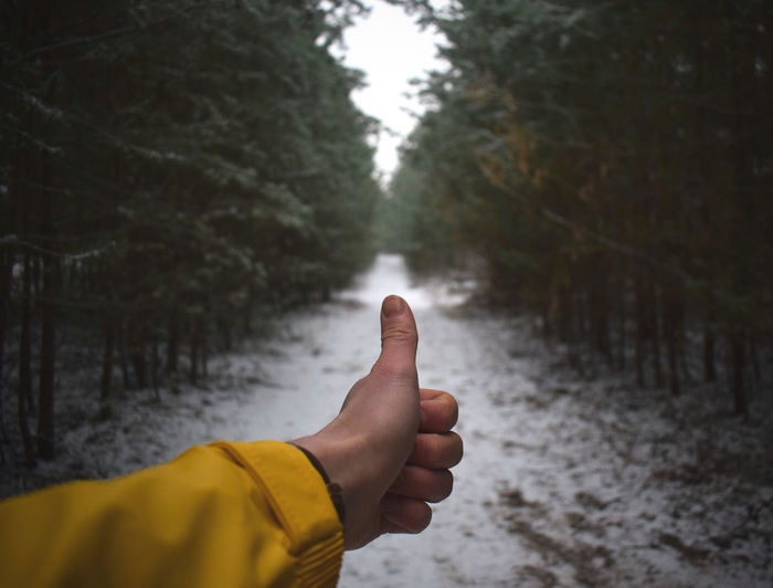 Cropped hand gesturing thumbs up amidst trees during winter